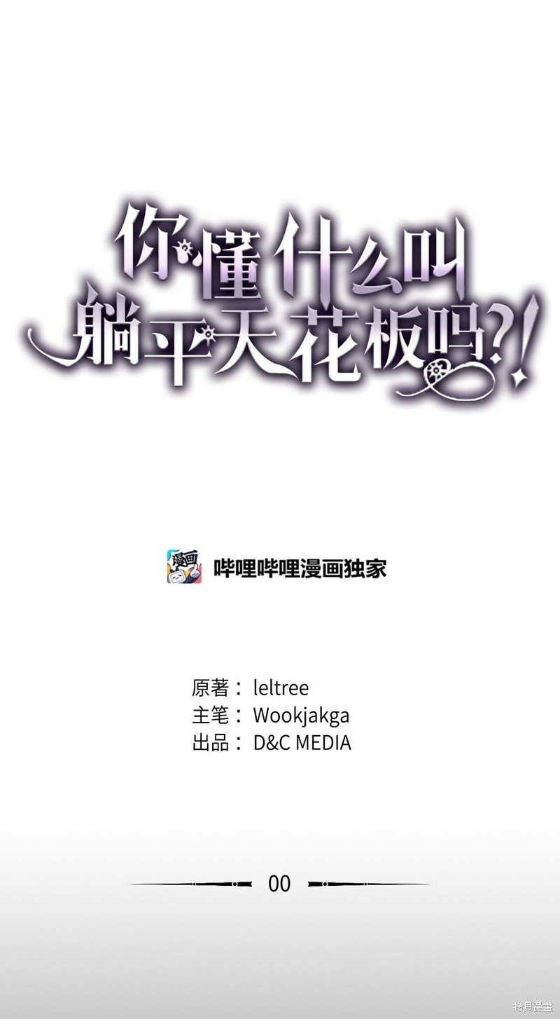 你懂什麽叫躺平天花板吗漫画00话