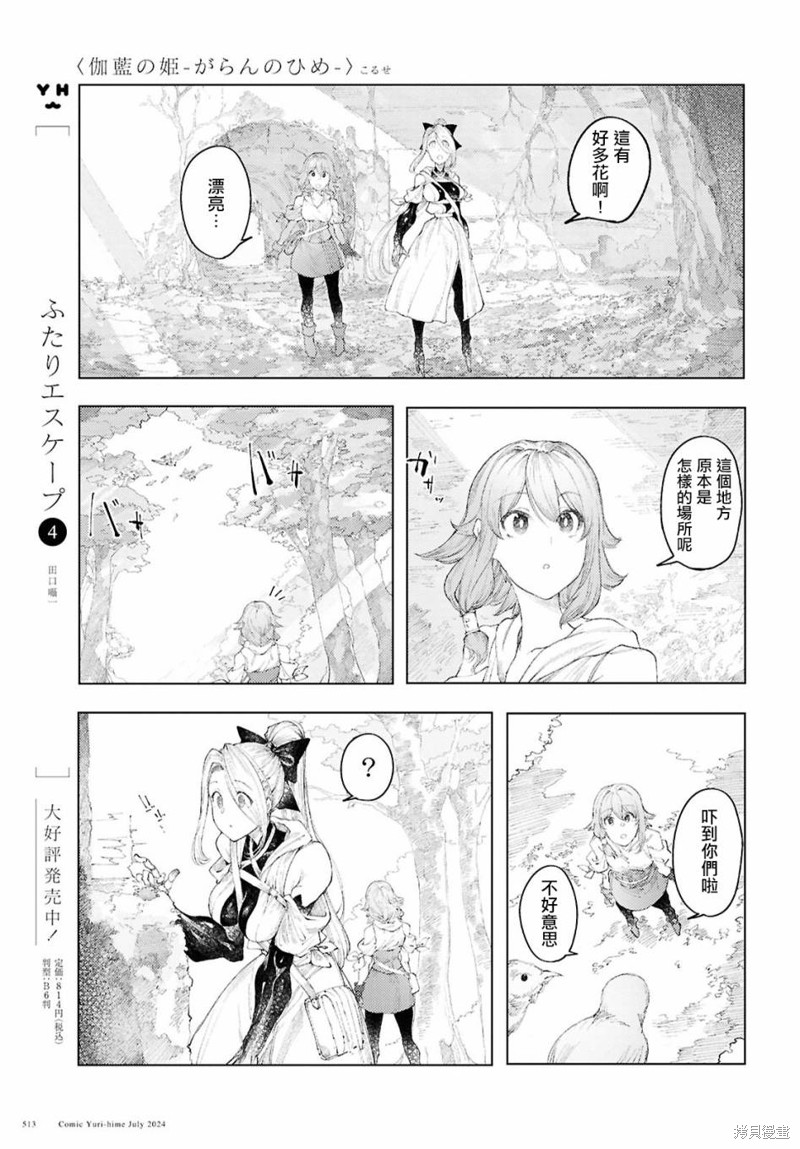 伽蓝的公主漫画10话