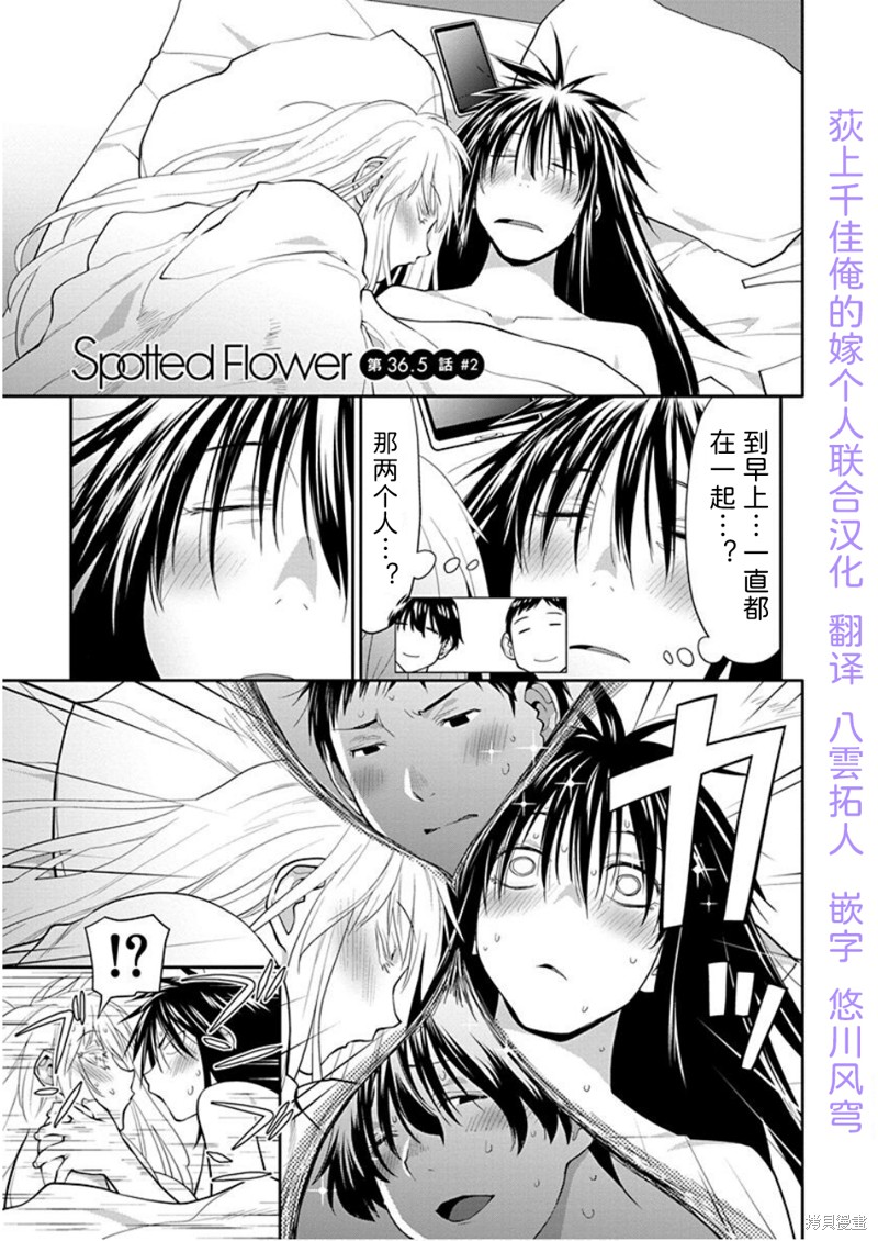 现视研IF：Spotted Flower漫画36.6话