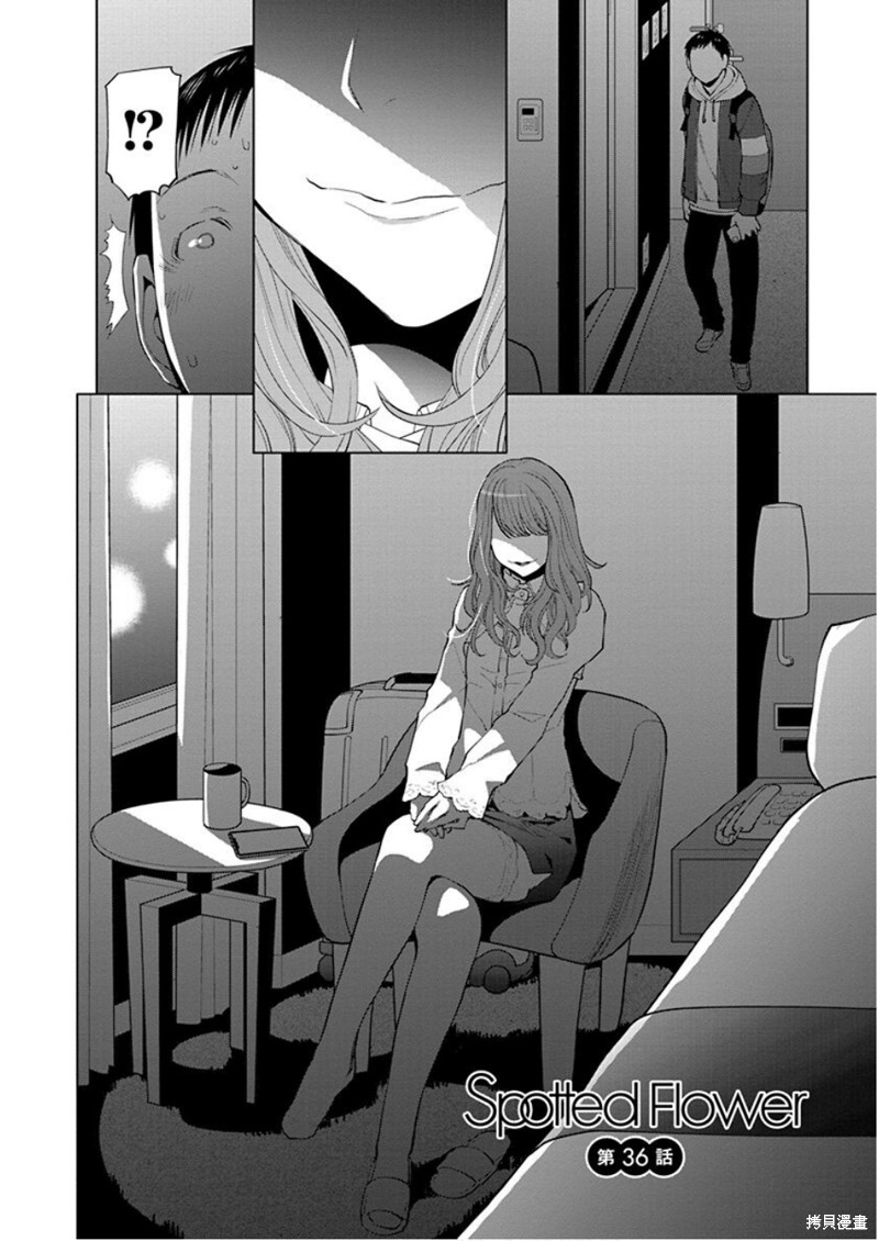 现视研IF：Spotted Flower漫画36话