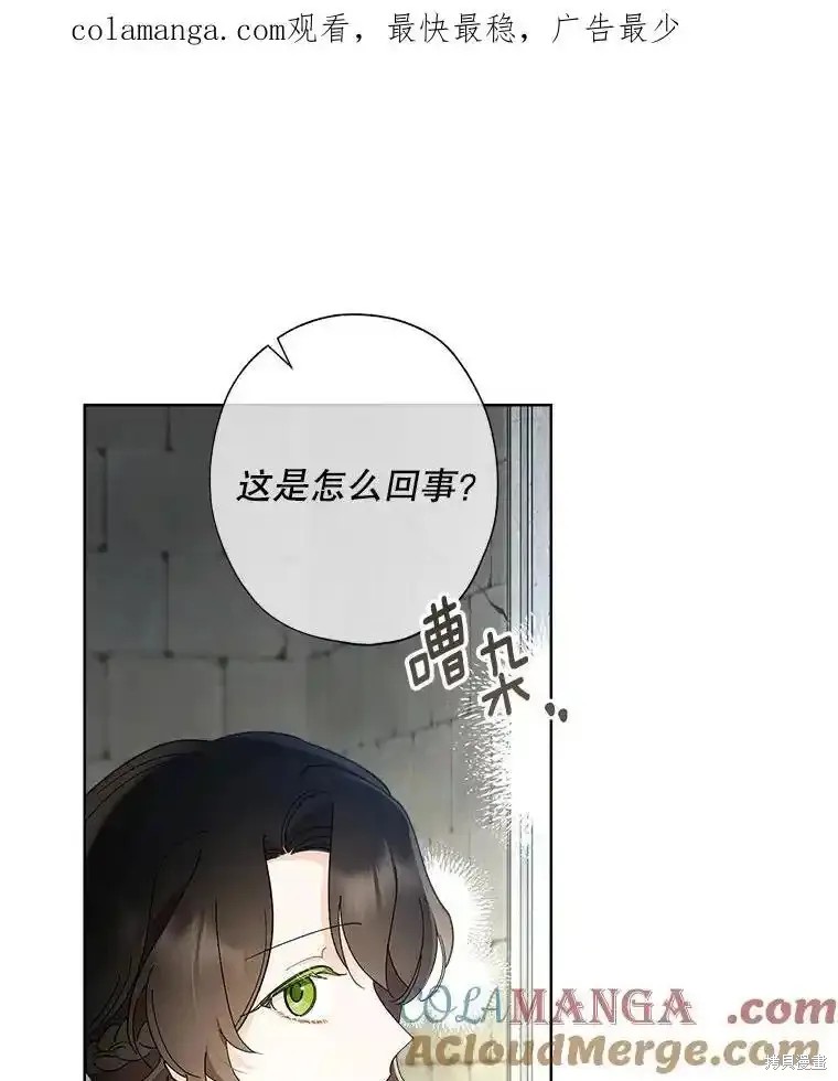 灰姑娘的善良继母漫画110话