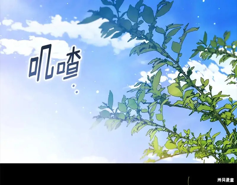 反正这段婚姻注定失败漫画62话