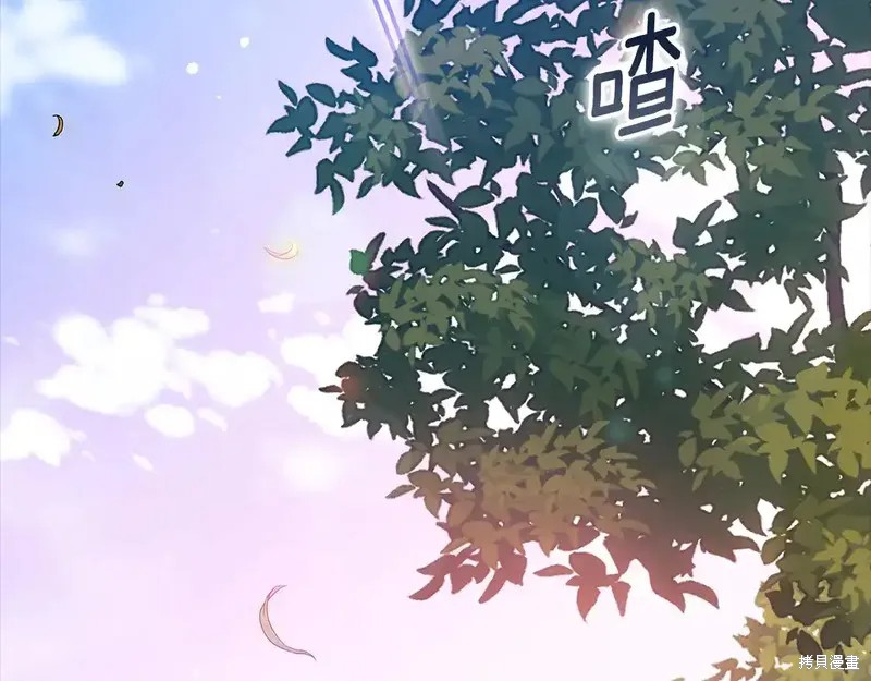 反正这段婚姻注定失败漫画62话