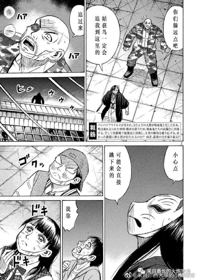 彼岸岛漫画3部219话