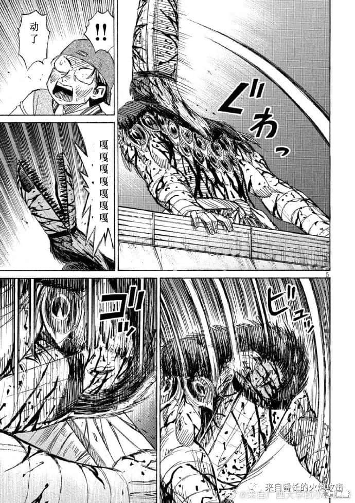彼岸岛漫画3部219话