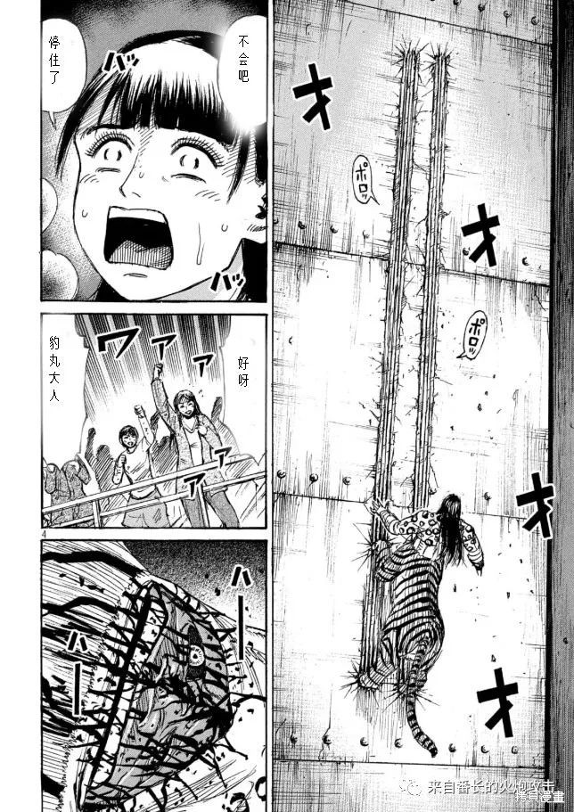 彼岸岛漫画3部323话