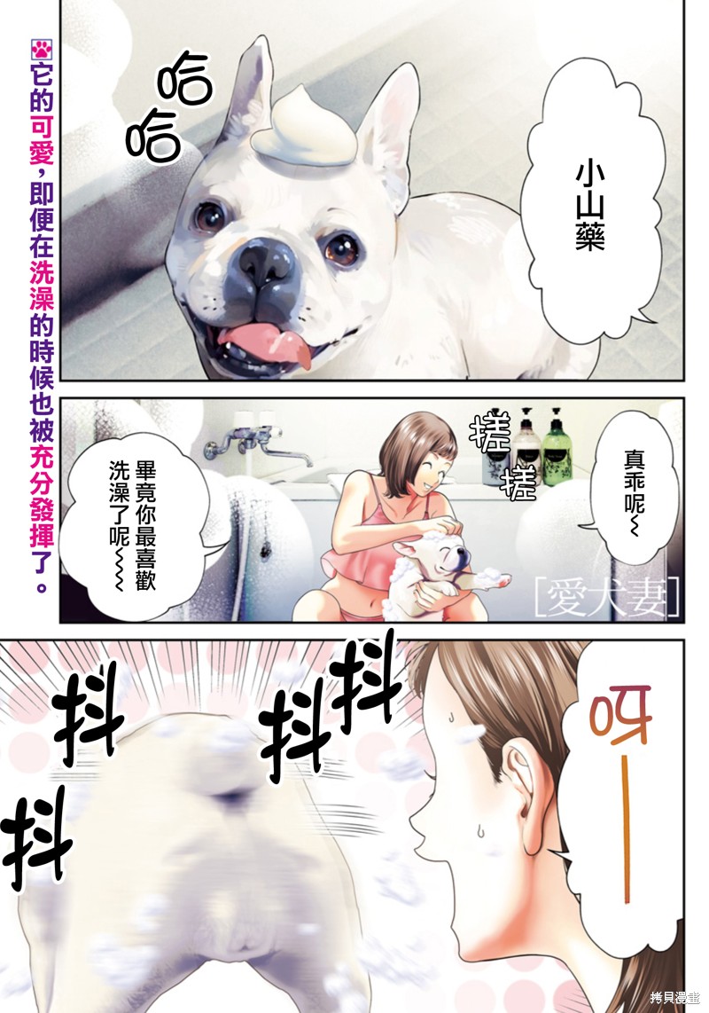 金鱼妻漫画50话爱犬妻1
