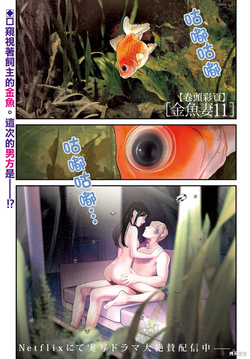 金鱼妻漫画42话金鱼妻11