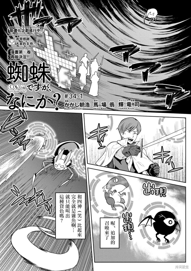 不过是蜘蛛什麽的漫画34话
