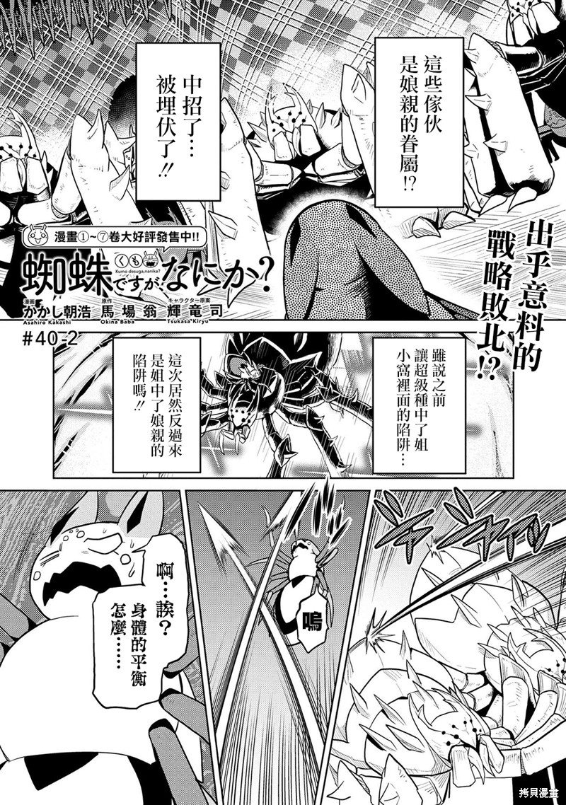 不过是蜘蛛什麽的漫画40话(2)
