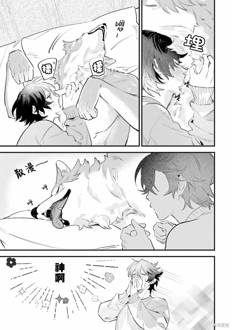 性癖是脾气不好的狼先生漫画05话