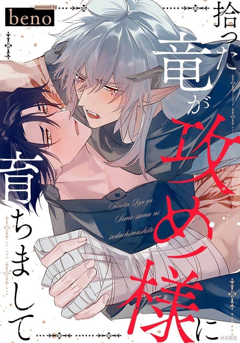 将捡回来的龙培育成攻漫画短篇