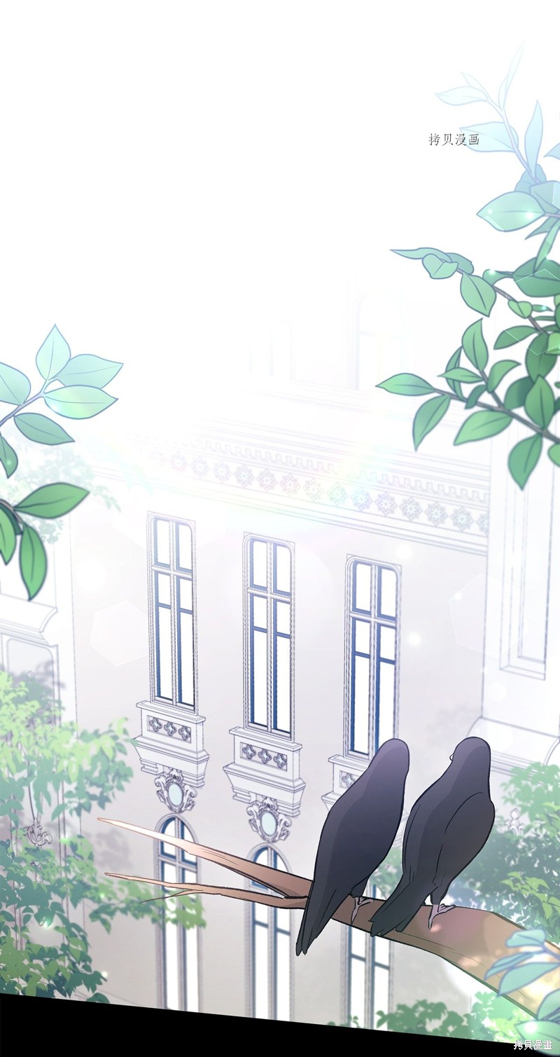 兔子与黑豹的共生关系漫画55话