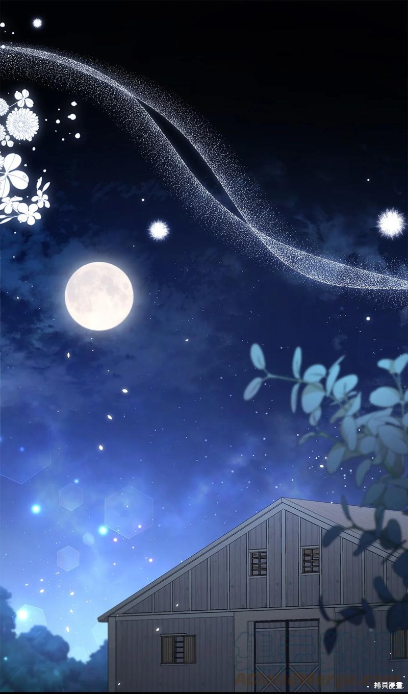 兔子与黑豹的共生关系漫画51话
