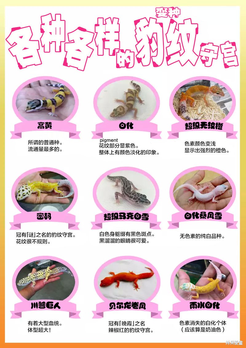 秘密的爬虫类漫画04.5话