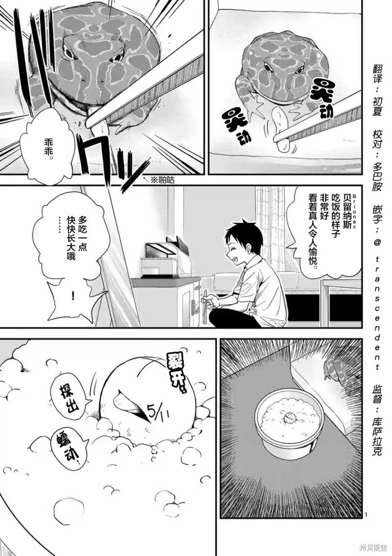 秘密的爬虫类漫画13话