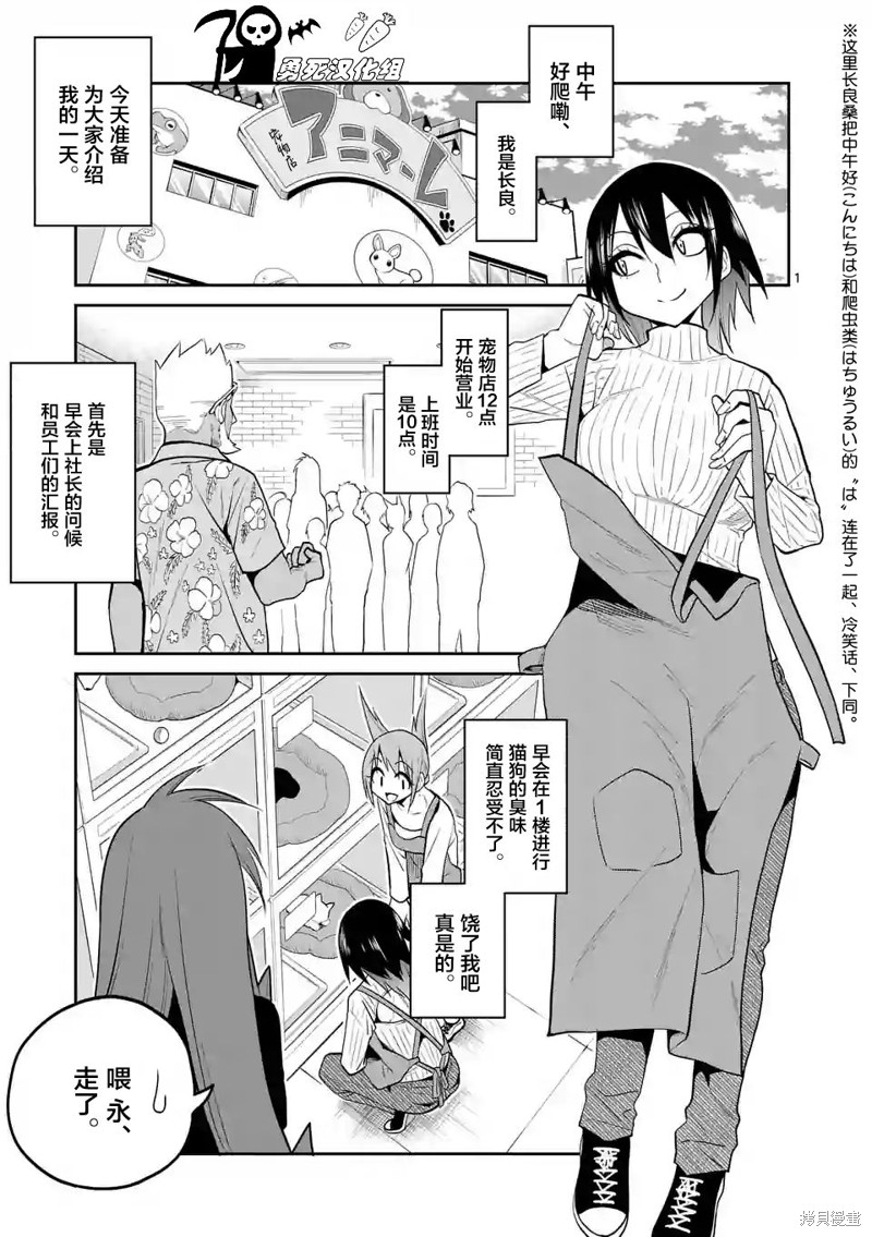 秘密的爬虫类漫画18话