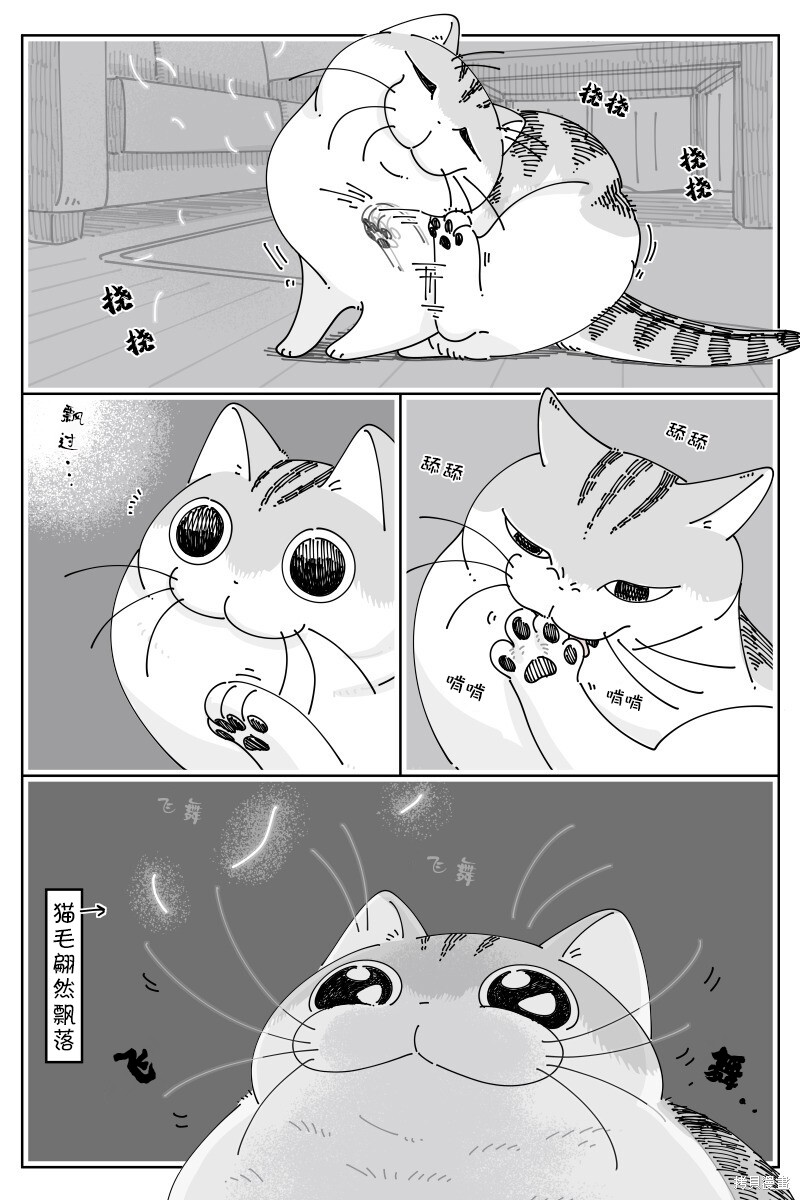 关於养猫我一直是新手 第171话 单击左键进入下一页