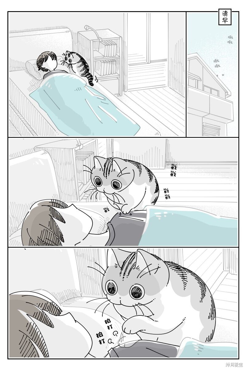 关於养猫我一直是新手 第214话 单击左键进入下一页