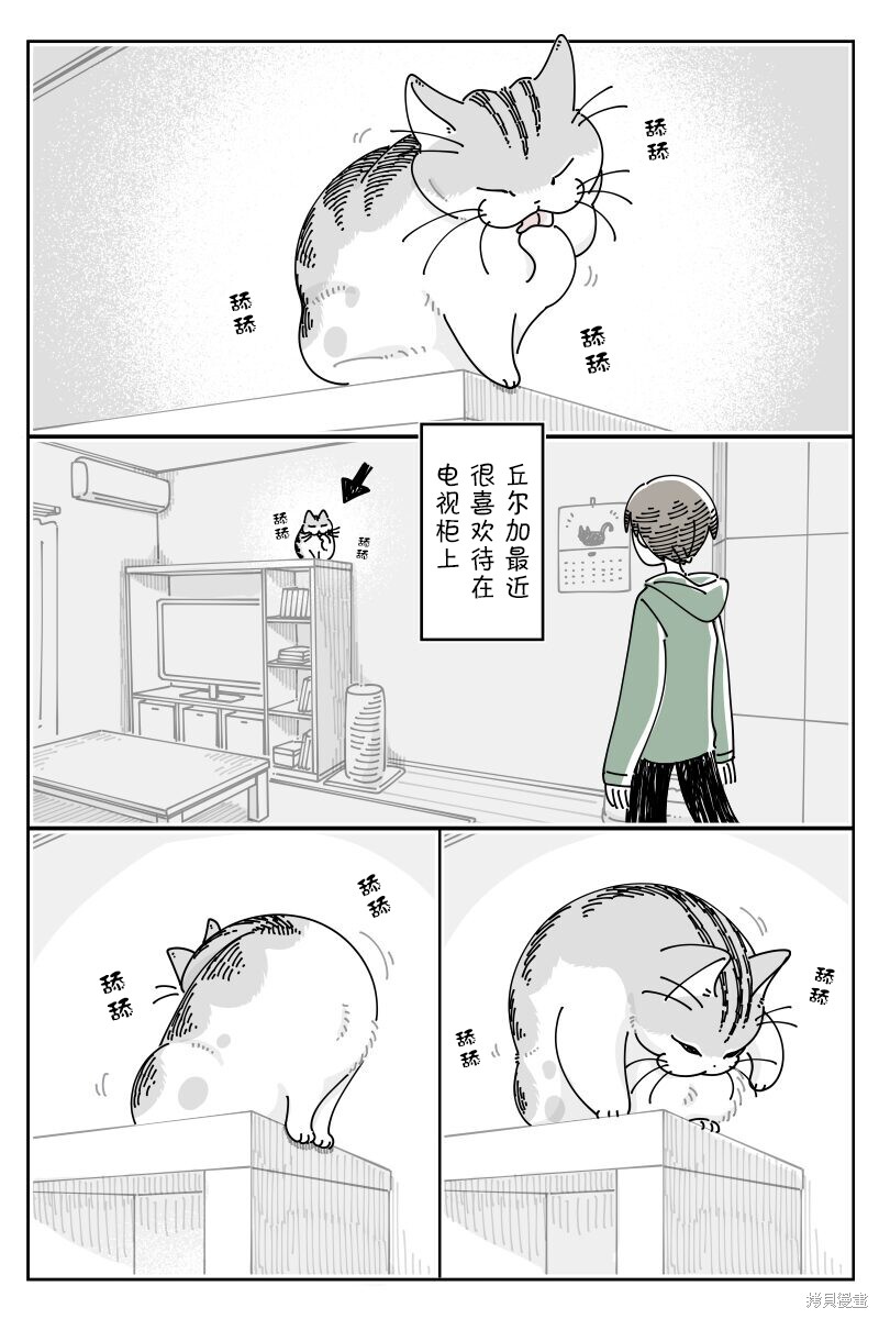 关於养猫我一直是新手 第215话 单击左键进入下一页
