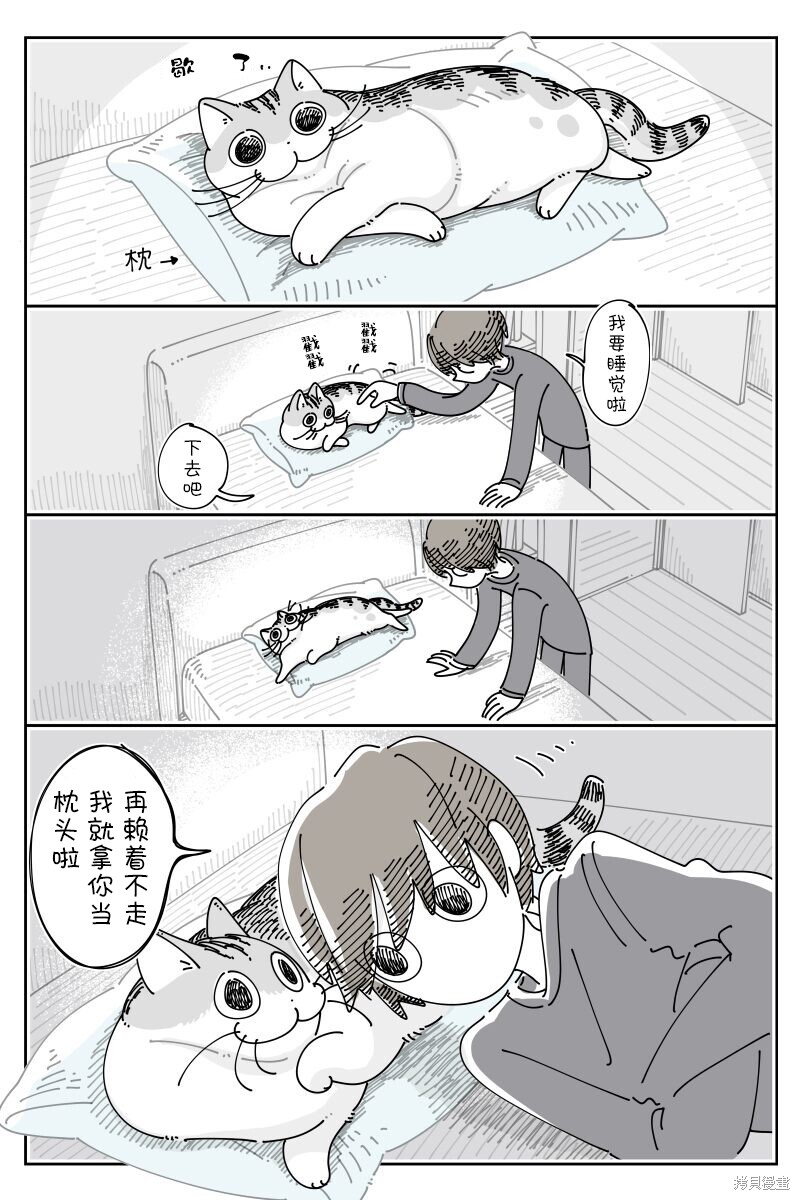关於养猫我一直是新手 第216话 单击左键进入下一页