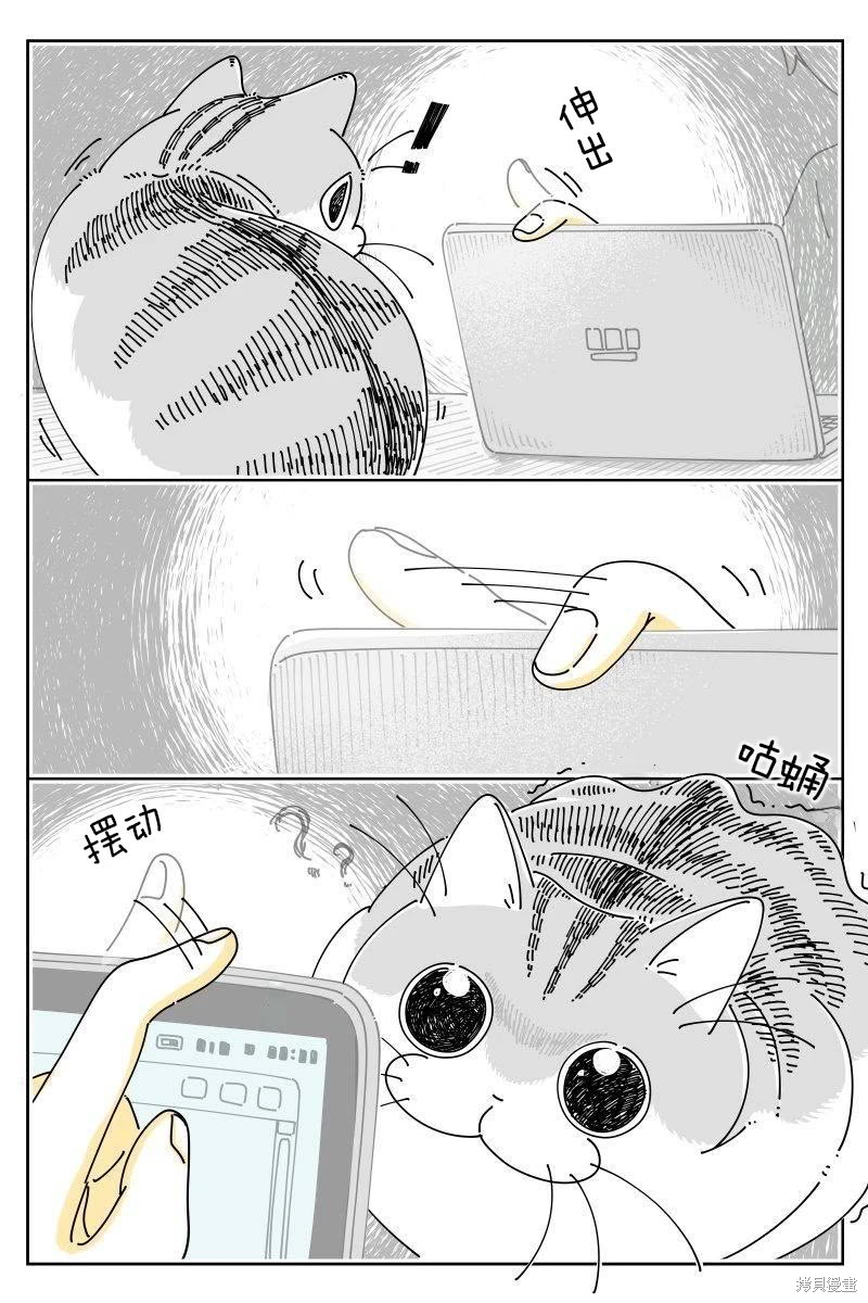 关於养猫我一直是新手 第217话 单击左键进入下一页