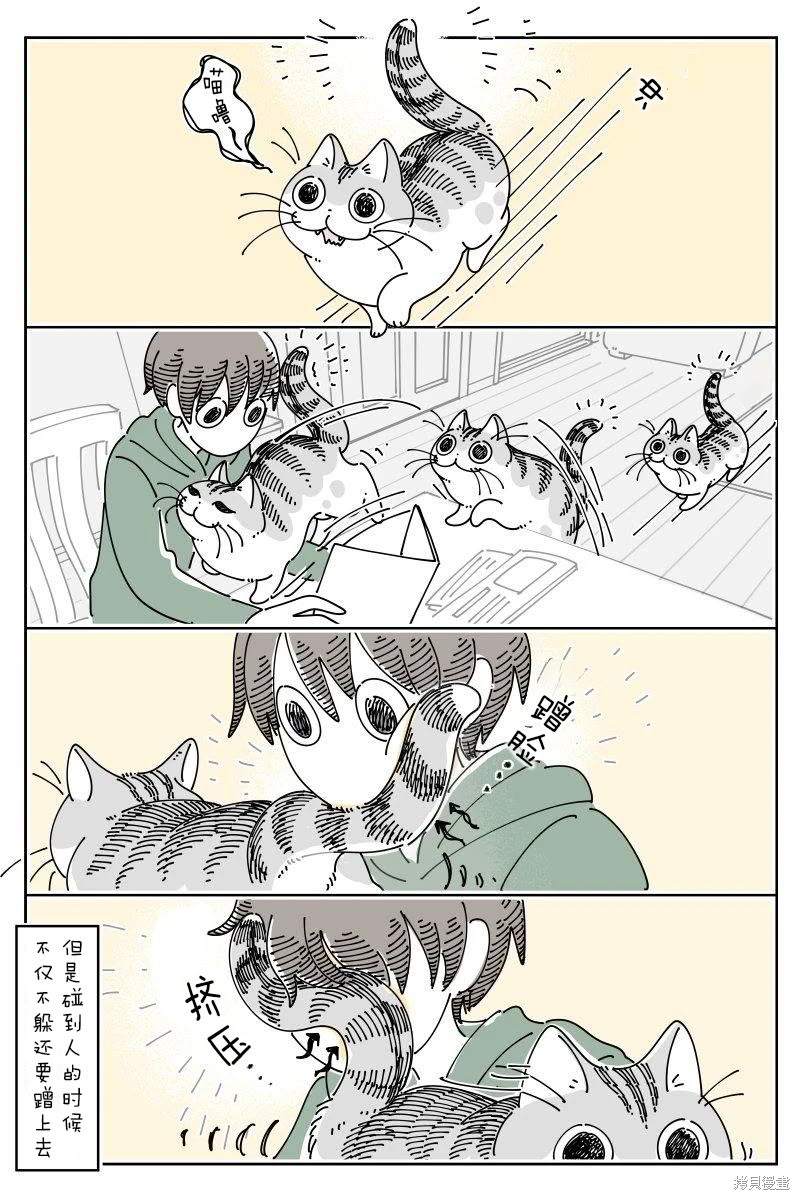 关於养猫我一直是新手 第218话 单击左键进入下一页