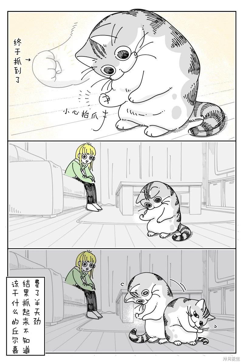 关於养猫我一直是新手 第219话 单击左键进入下一页