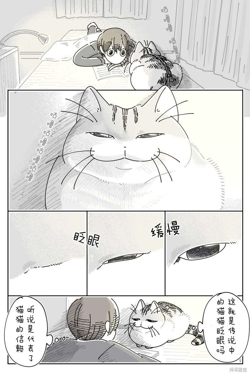 关於养猫我一直是新手 第221话 单击左键进入下一页