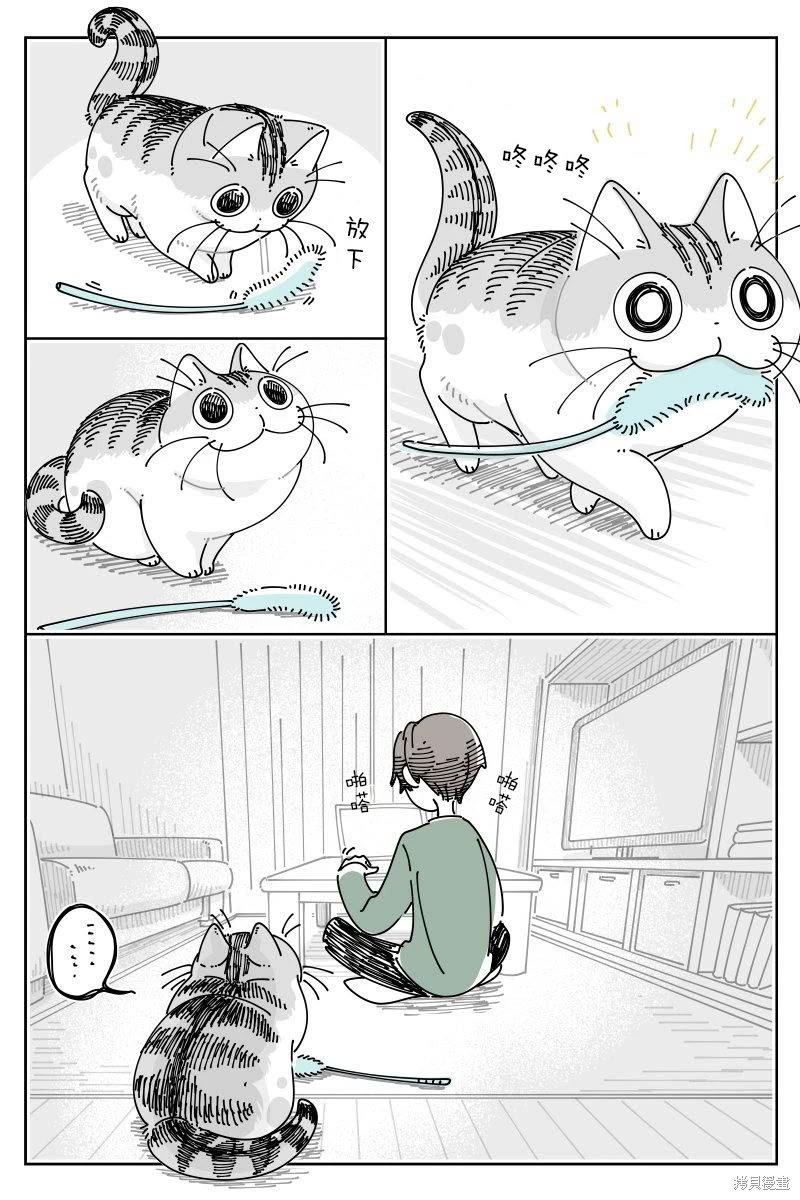 关於养猫我一直是新手 第220话 单击左键进入下一页