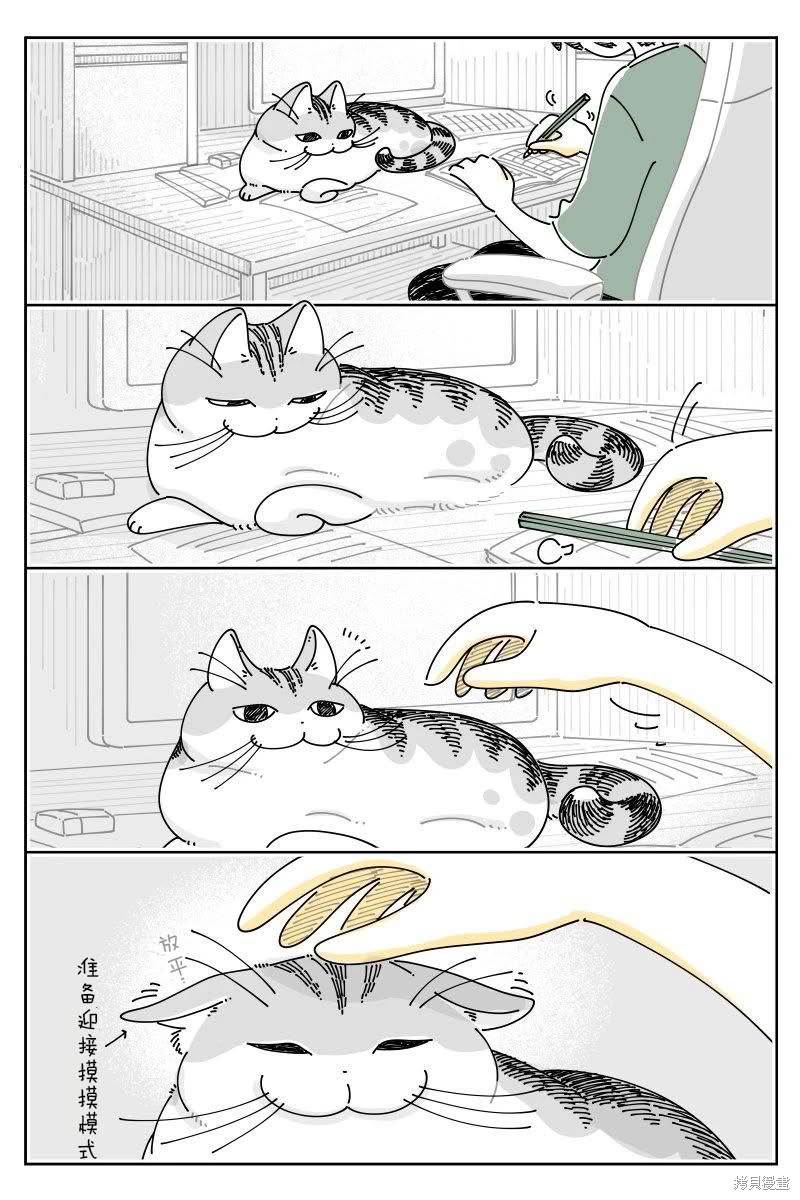 关於养猫我一直是新手 第222话 单击左键进入下一页