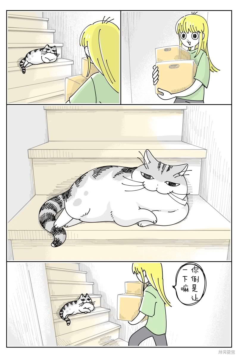 关於养猫我一直是新手 第223话 单击左键进入下一页