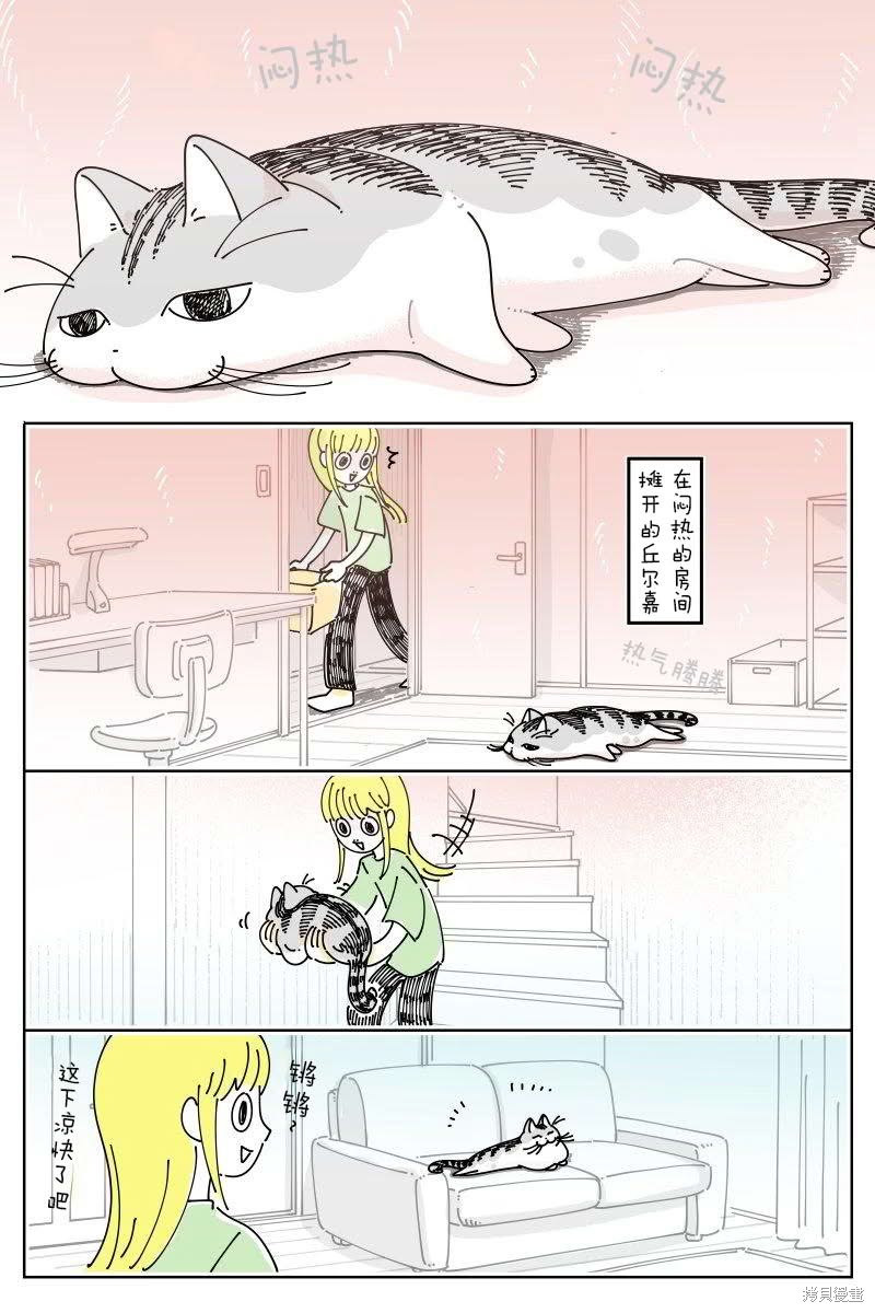 关於养猫我一直是新手 第227话 单击左键进入下一页