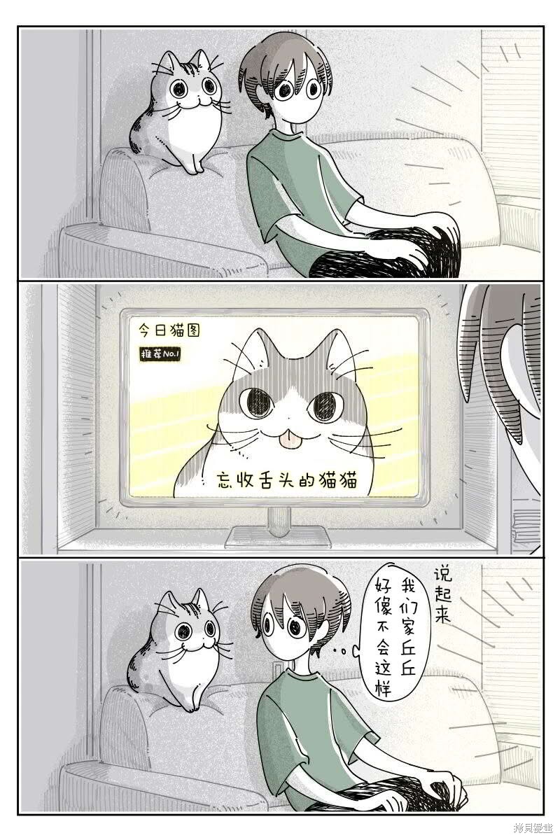 关於养猫我一直是新手 第228话 单击左键进入下一页