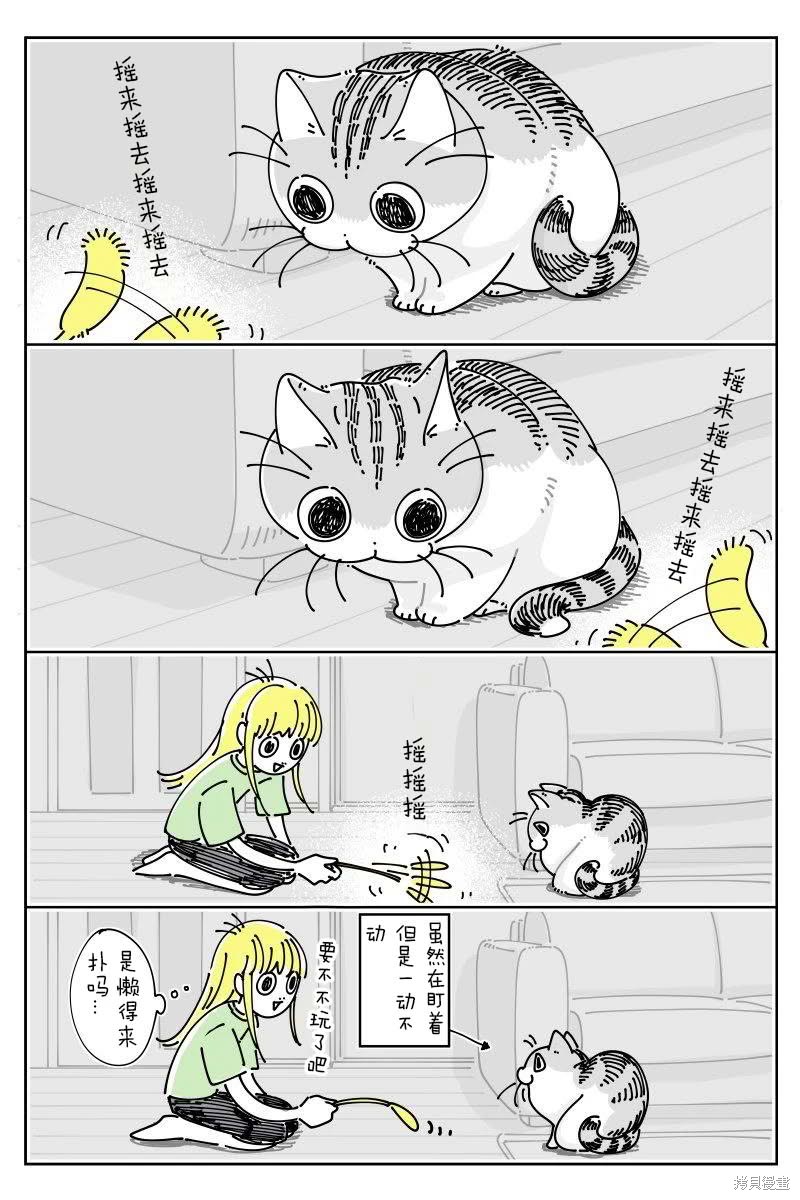 关於养猫我一直是新手 第229话 单击左键进入下一页