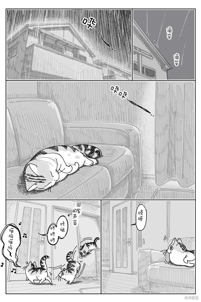 关於养猫我一直是新手 第234话 单击左键进入下一页