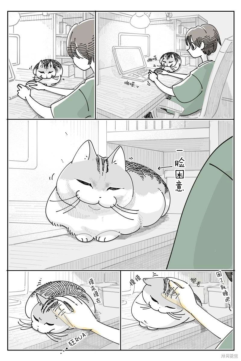关於养猫我一直是新手 第233话 单击左键进入下一页