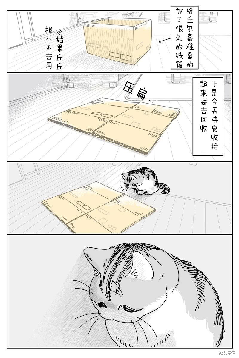 关於养猫我一直是新手 第235话 单击左键进入下一页