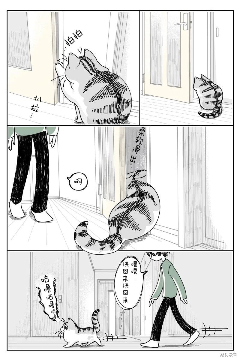 关於养猫我一直是新手 第236话 单击左键进入下一页