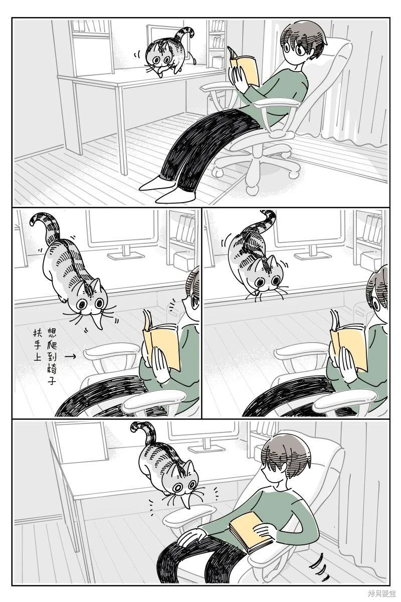 关於养猫我一直是新手 第237话 单击左键进入下一页