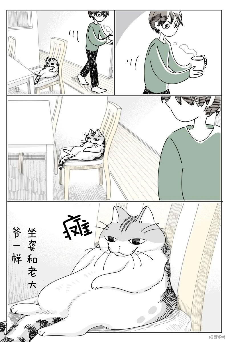 关於养猫我一直是新手 第243话 单击左键进入下一页