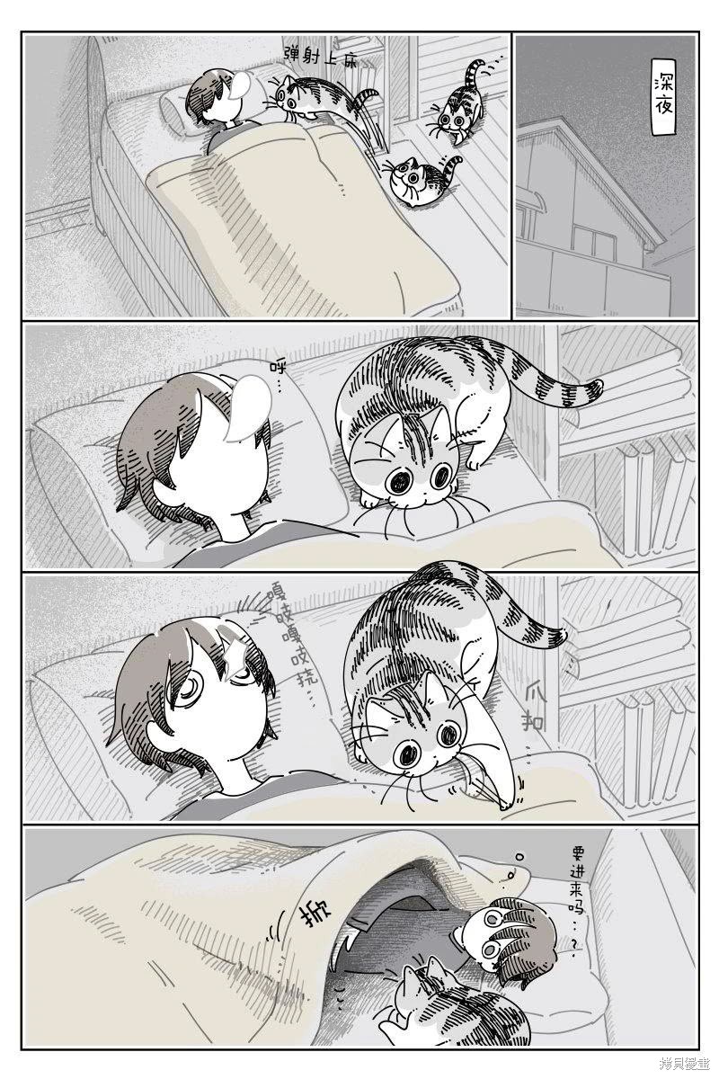 关於养猫我一直是新手 第244话 单击左键进入下一页