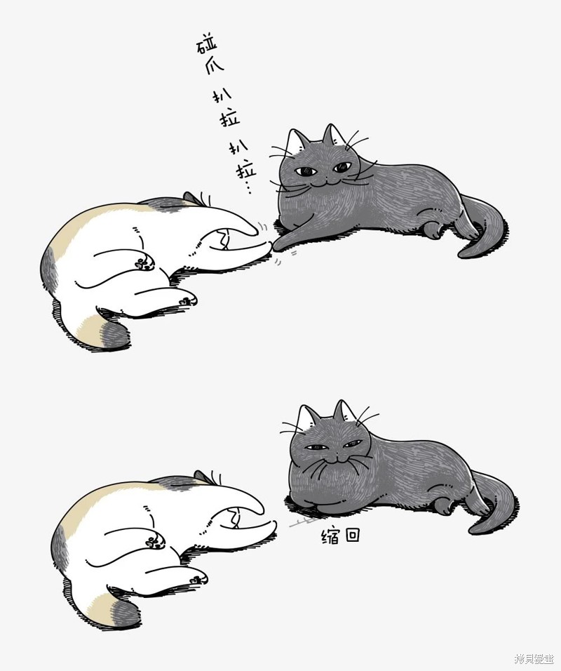 关於养猫我一直是新手 第245话 单击左键进入下一页