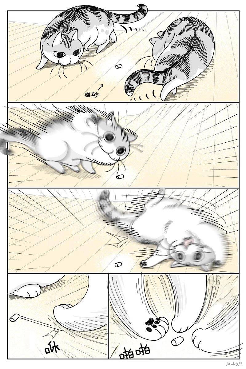 关於养猫我一直是新手 第251话 单击左键进入下一页