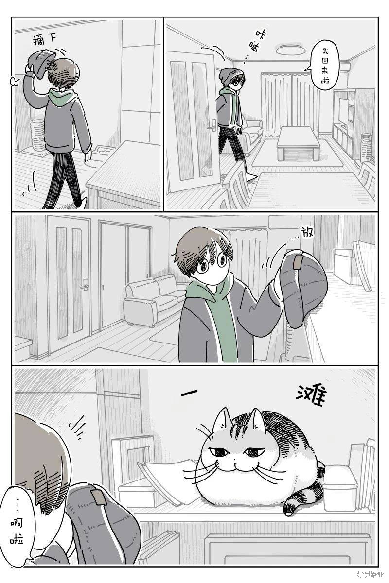 关於养猫我一直是新手 第252话 单击左键进入下一页