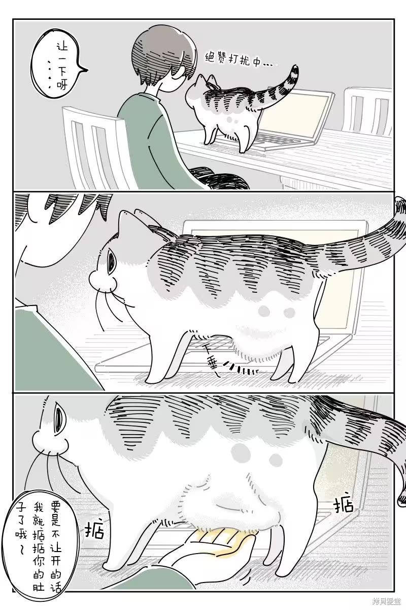 关於养猫我一直是新手 第261话 单击左键进入下一页