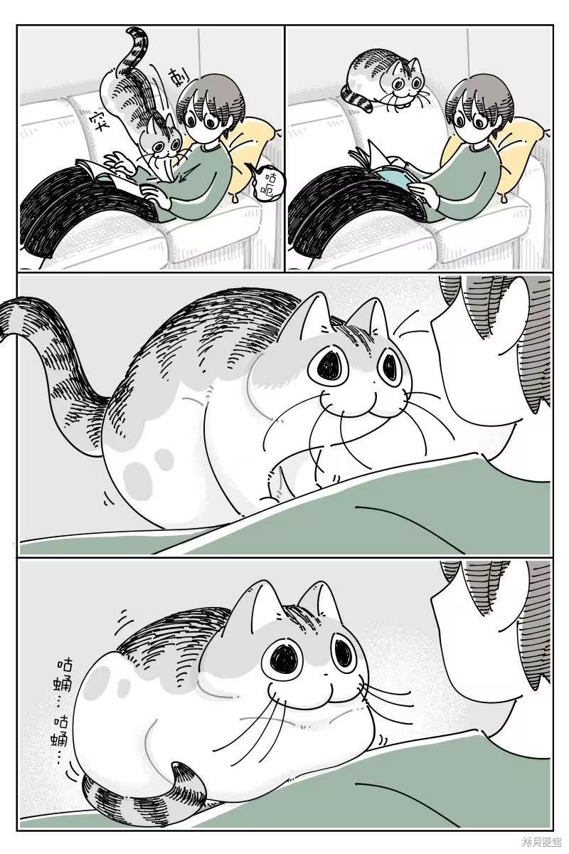 关於养猫我一直是新手 第264话 单击左键进入下一页
