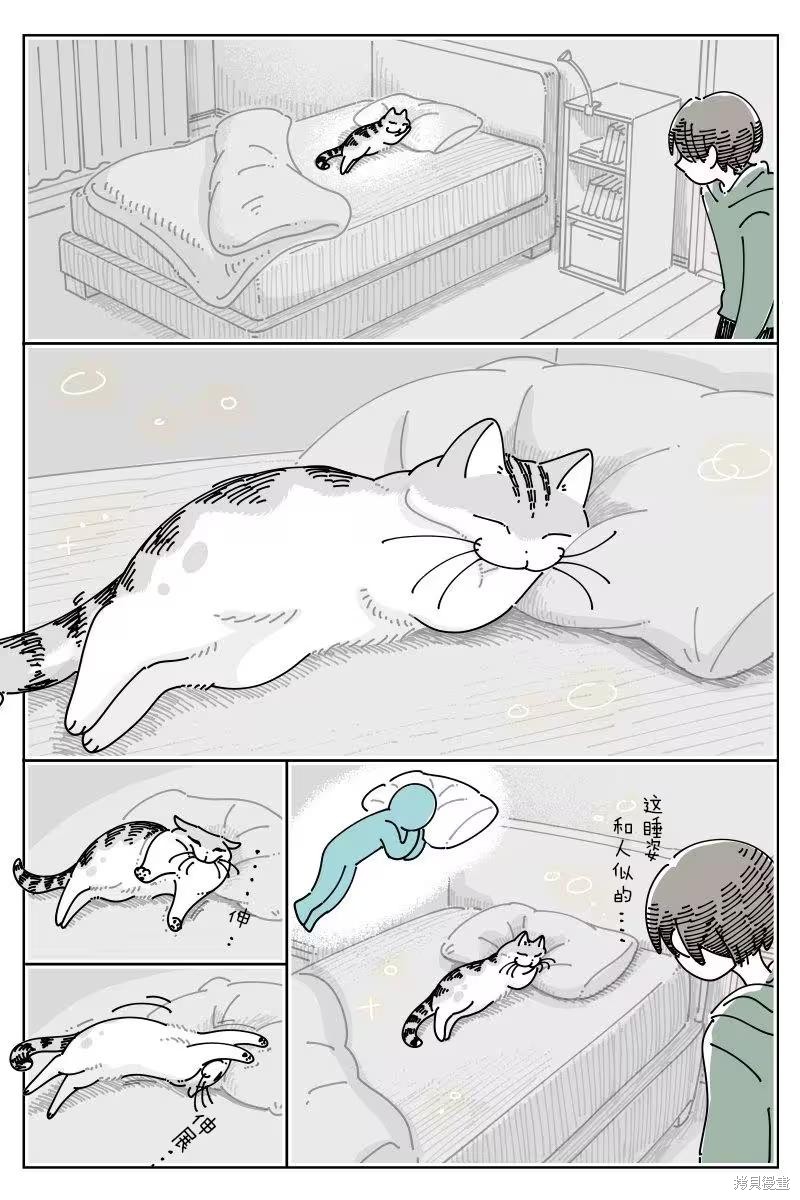 关於养猫我一直是新手 第262话 单击左键进入下一页