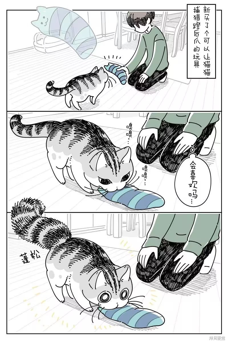 关於养猫我一直是新手 第266话 单击左键进入下一页