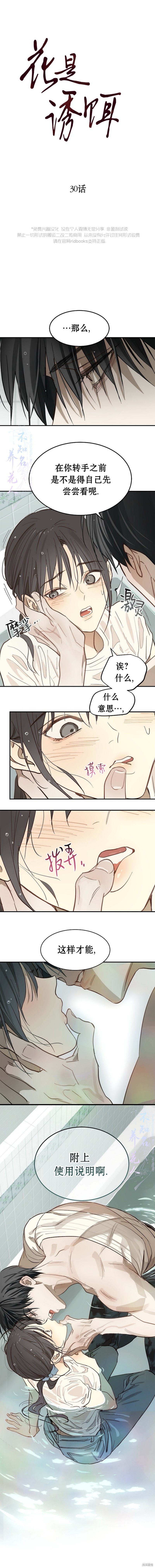 花是诱饵漫画30话